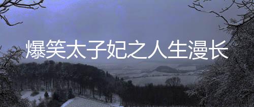 爆笑太子妃之人生漫长