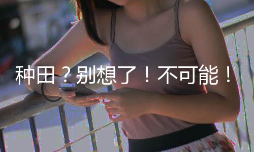 《穿书年代小可怜，奋斗逆袭不炮灰》全文在线阅读