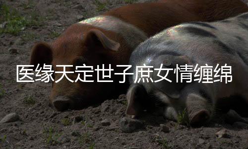 《许你万丈光芒好》全文在线阅读