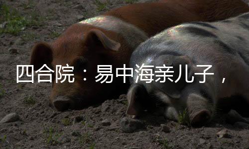 《入夜，娇软乖乖被京圈大佬吻哭了》全文在线阅读