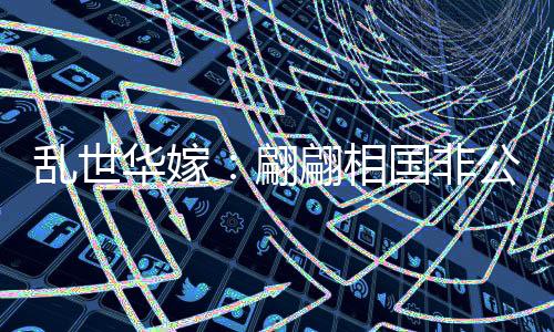 乱世华嫁：翩翩相国非公子