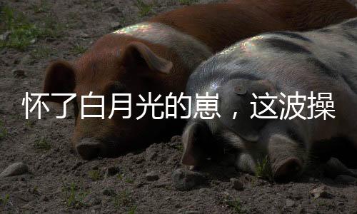 《重生年代大院娇媳美又飒》全文在线阅读