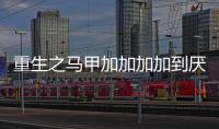 重生之马甲加加加